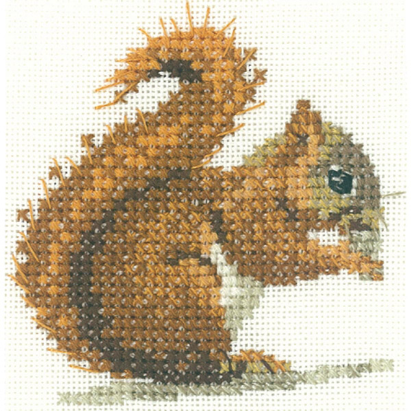 Heritage counted cross stitch kit Aida "Red Squirrel (A)", LFRS1149-A, 7x7cm, DIY