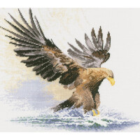 Heritage counted cross stitch kit evenweave fabric "Eagle in Flight (L)", FFEF481-E, 34x34cm, DIY