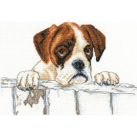 Heritage counted cross stitch kit evenweave fabric "Bailey", VJBY1436-E, 23x16cm, DIY