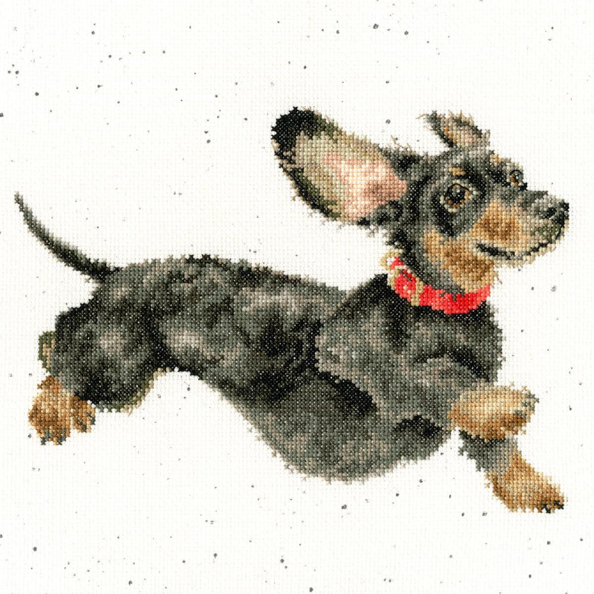 Cross-stitch embroidery picture of a dachshund with black...