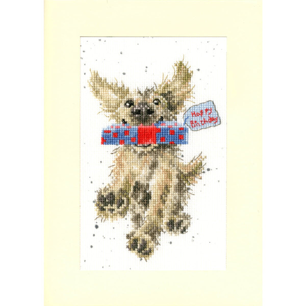 Bothy Threads  greating card counted cross stitch kit "Special Delivery", XGC31, 10x16cm, DIY