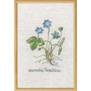 Permin counted cross stitch kit "Blue Anemone",...