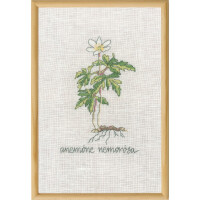 Permin counted cross stitch kit "White Anemone", 20x30cm, DIY, 70-1833