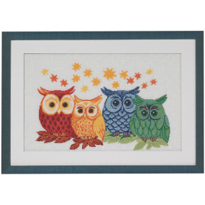 Permin counted cross stitch kit "Owls in different...