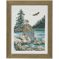 Permin counted cross stitch kit "See eagle", 31x41cm, DIY, 90-2170