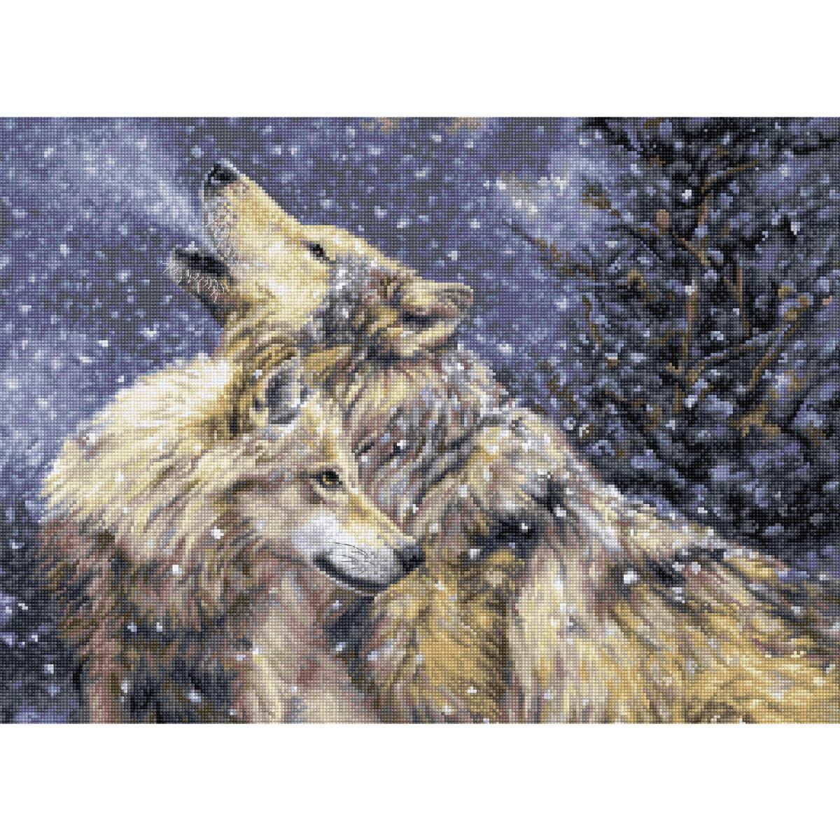 Zwei Wölfe stehen in einer verschneiten Landschaft...