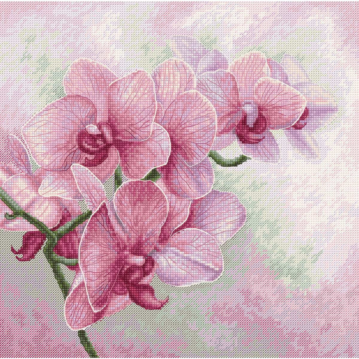 A pink cross stitch artwork shows a blooming orchid...