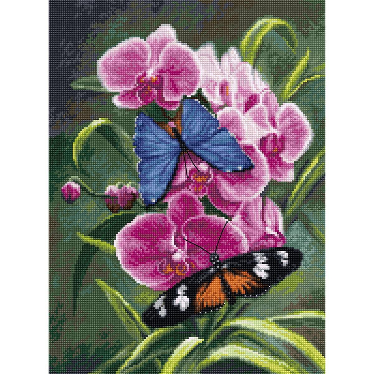 Two butterflies are sitting on a cluster of bright pink...