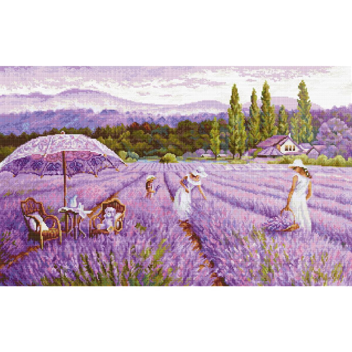A picturesque lavender field stretches out under a...