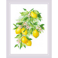 Riolis Set de punto de cruz "Bright Lemons", patrón de conteo, 30x40cm