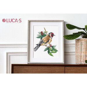 Luca-S Kit de point de croix "Oiseau chardonneret", motif à compter, 14x15cm