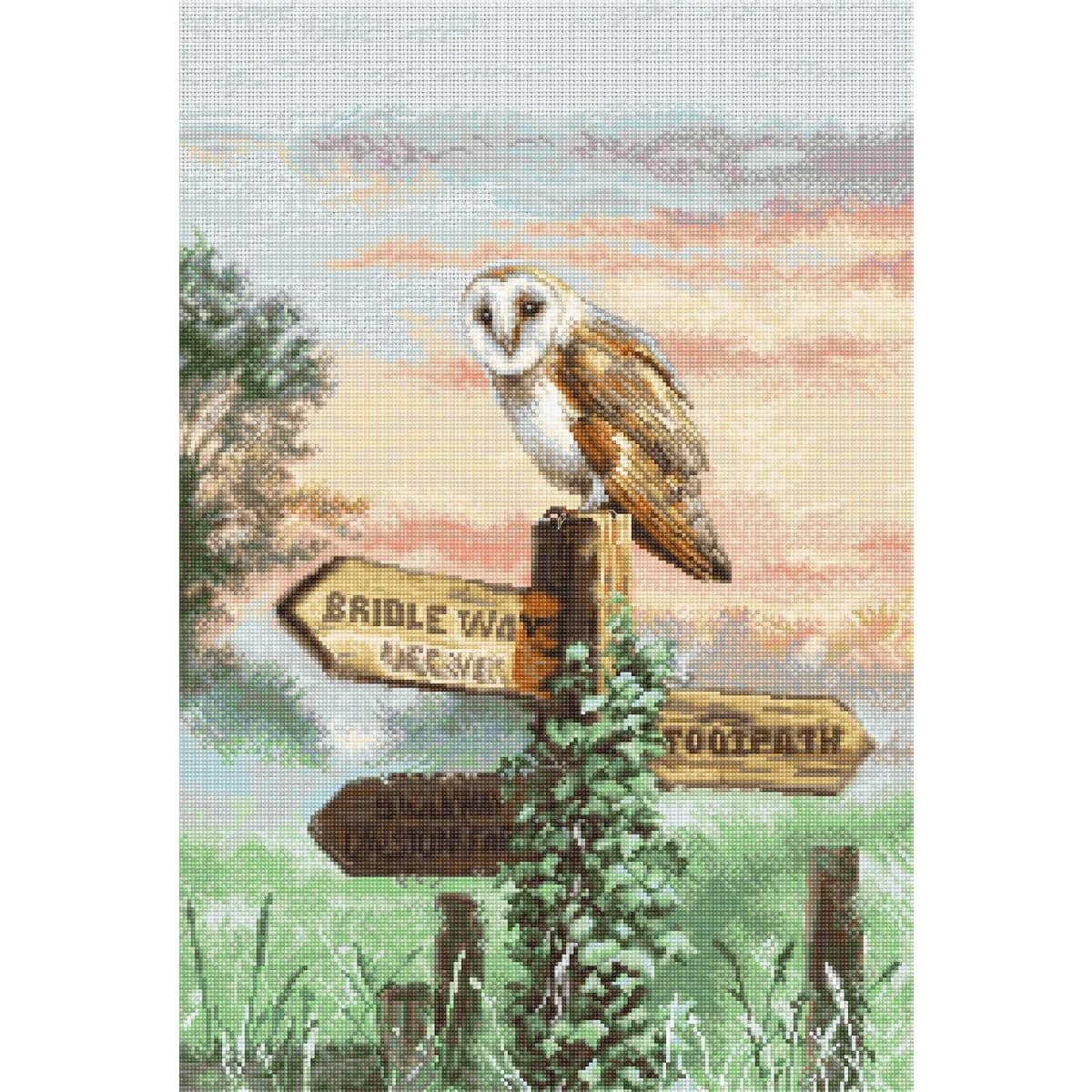 Letistitch counted cross stitch kit "Barn Owl",...