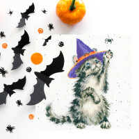 Bothy Threads counted cross stitch kit "The Witchs Cat", XHD105, 26x26cm, DIY