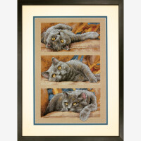 Dimensions counted cross stitch kit "Max the Cat", 25,4x38,1cm, DIY