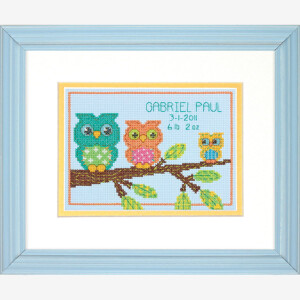 Dimensions counted cross stitch kit "Owl Birth...