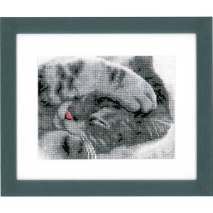 Vervaco counted cross stitch kit "Cute kitten",...