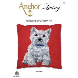 Anchor stamped Needlepoint Cushion stitch kit...
