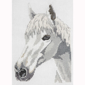Anchor kit punto croce "White Beauty - Horse", fai da te, 16x23cm