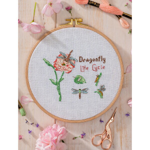 Anchor counted cross stitch kit "Dragonfly Life Cycle", 13x11cm, DIY