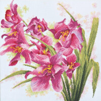 Kit a punto croce contato Abris Art "Orchide viola", 40x40cm, fai -da -te