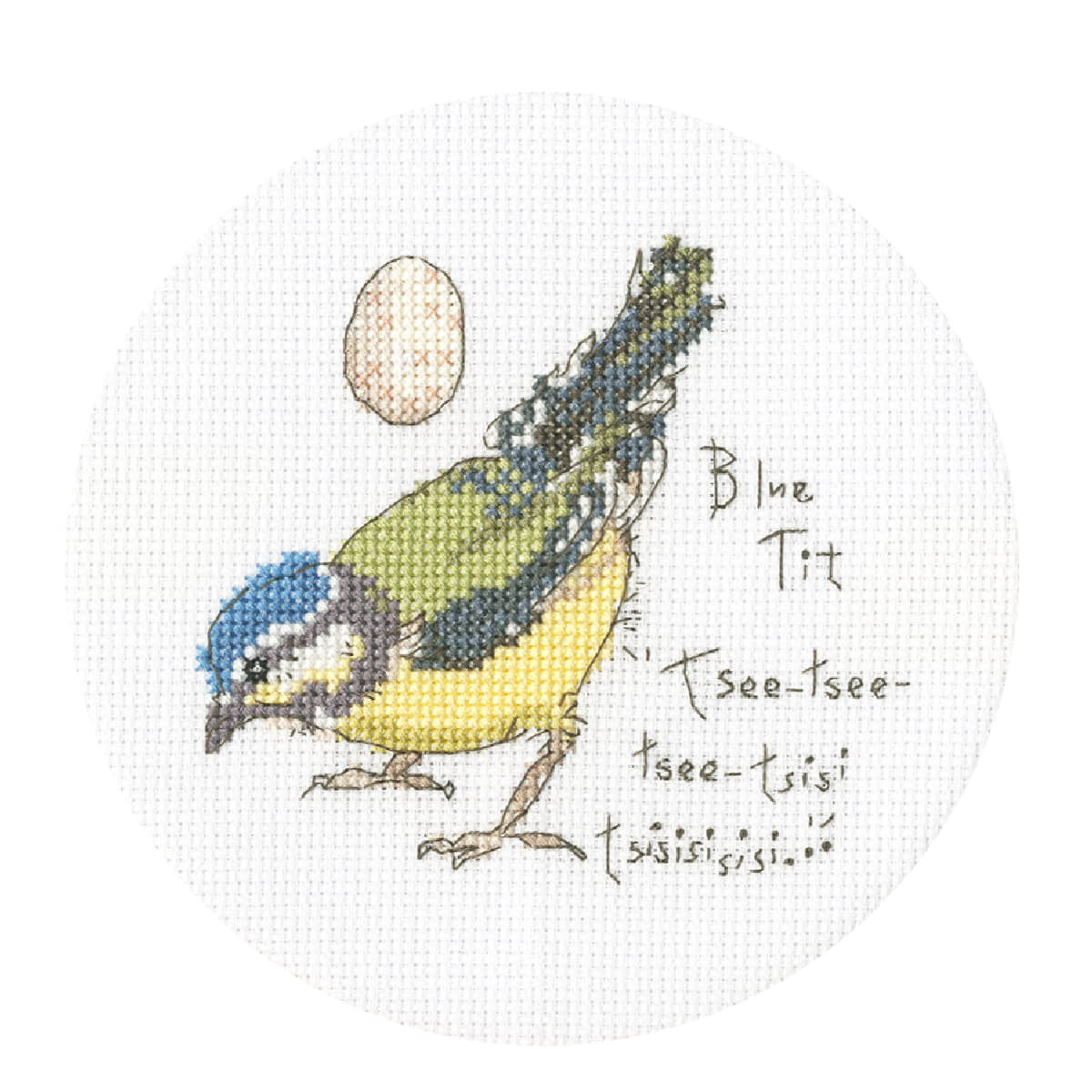 A cross-stitch picture shows a blue tit, which is...