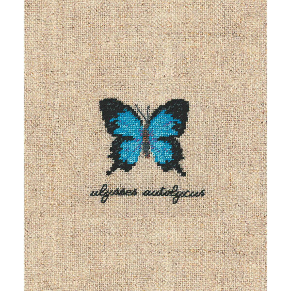 Le Bonheur des Dames Petit Point Kit de punto de cruz "Miniatura Mariposa Azul", contado, 4,5x4,5cm