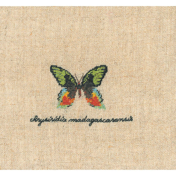 Le Bonheur des Dames Petit Point Borduurpakket "Groene Vlinder Miniatuur", geteld,  7x4cm