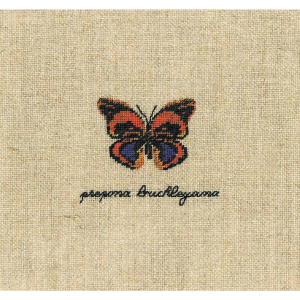 Le Bonheur des Dames Petit Point Kit de punto de cruz "Prepona Buckleyana Butterfly Miniature", contado, 5x4cm