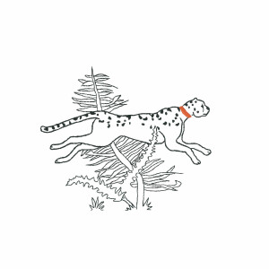 Le Bonheur des Dames stamped freestyle stitch kit "The Race Of The Cheetah Printed", diam. 15cm, DIY