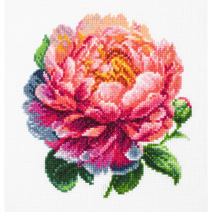 Luca-S counted cross stitch kit with hoop &quot;Coral...