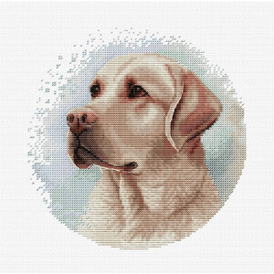 Luca-S counted cross stitch kit with hoop "The Labrador", 16x16cm, DIY