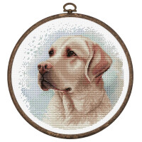 Luca-S counted cross stitch kit with hoop "The Labrador", 16x16cm, DIY