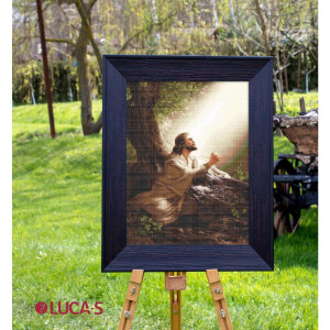 Luca-S counted cross stitch kit "Gold Collection Jesus Christ", 35x52cm, DIY