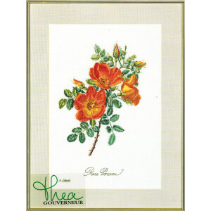 Thea Gouverneur counted cross stitch kit "Rose Chazal Evenweave", 26x38cm, DIY