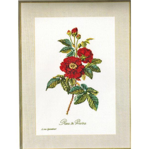 Thea Gouverneur Kreuzstich Stickpackung "Rose van Spaendonck Zählstoff", Zählmuster, 26x38cm