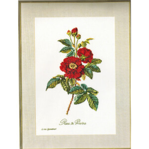 Thea Gouverneur counted cross stitch kit "Rose van...