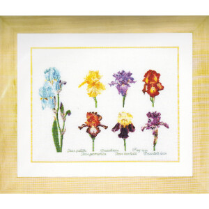 Thea Gouverneur counted cross stitch kit "Iris Panel...