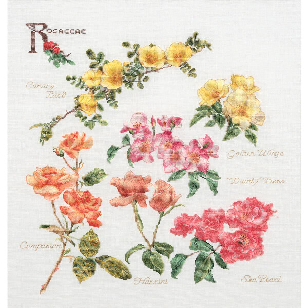 Thea Gouverneur counted cross stitch kit "Rose Panel Evenweave", 44x46cm, DIY