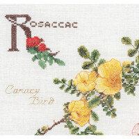 Thea Gouverneur counted cross stitch kit "Rose Panel Evenweave", 44x46cm, DIY