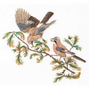 Thea Gouverneur counted cross stitch kit "Jays...