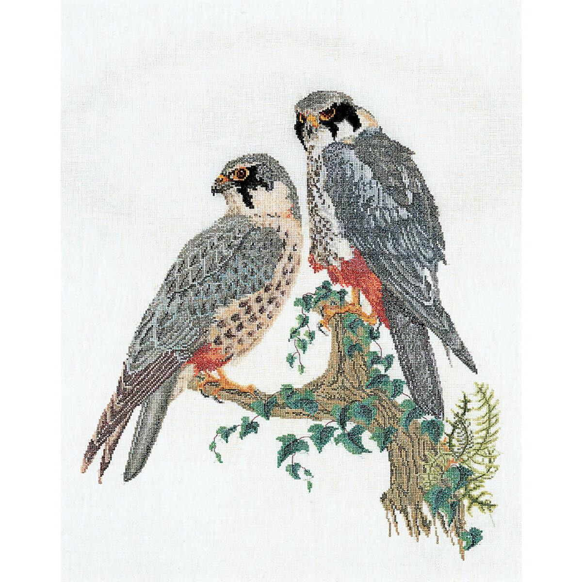 Thea Gouverneur counted cross stitch kit "Falcons...