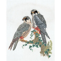 Thea Gouverneur counted cross stitch kit "Falcons Aida", 48x60cm, DIY