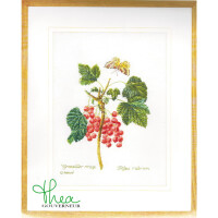 Thea Gouverneur counted cross stitch kit "Red Currant Aida", 26x35cm, DIY