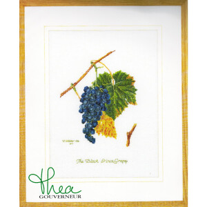 Thea Gouverneur telpakket "Grapes Aida", 26x35cm