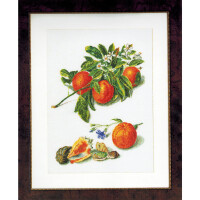 Thea Gouverneur Kreuzstich Stickpackung "Orangen und Mandarinen Aida", Zählmuster, 33x45cm