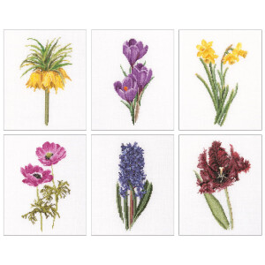 Thea Gouverneur telpakket "Six Floral Studies I...