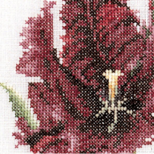 Thea Gouverneur counted cross stitch kit "Six Floral Studies I Aida", 6x17cm, DIY