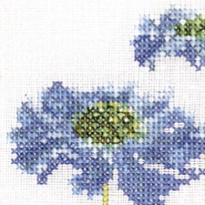 Thea Gouverneur counted cross stitch kit "Six Floral Studies II Aida", 6x17cm, DIY