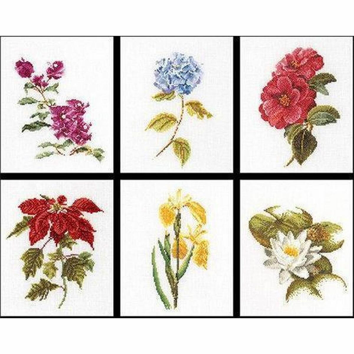 Thea Gouverneur telpakket "Six Floral Studies III...