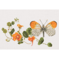 Thea Gouverneur counted cross stitch kit "Butterfly-Nasturtium Aida", 29x18cm, DIY